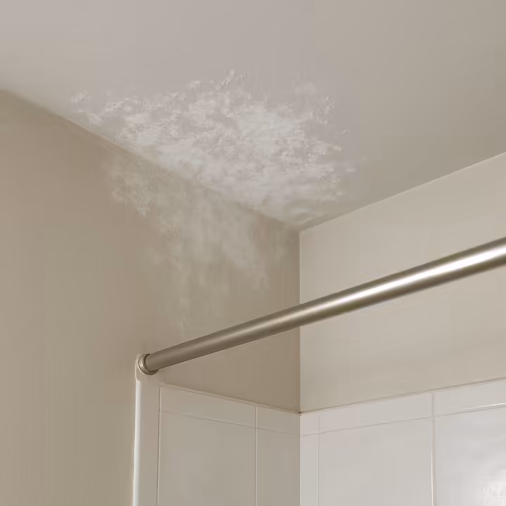 Powdery white mildew growing on the wall and ceiling corner of a poorly ventilated bathroom.